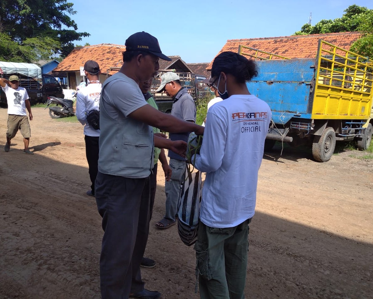Perkanas DPD Kendal Lakukan Pembagian Ribuan Masker di Pasar Hewan Wagean Desa Gundang Kecamatan Cepiring