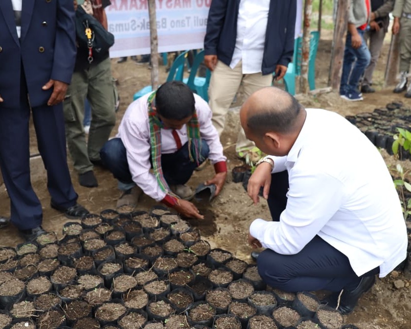 Bupati Taput Resmikan Rumah Pembibitan Kemenyan di Dusun Tornauli Kecamatan Parmonangan