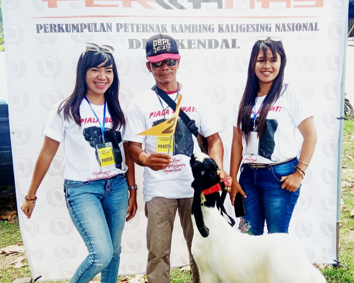 Dinas Pertanian dan Pangan Kendal bersama Perkanas Gelar Kontes Kambing