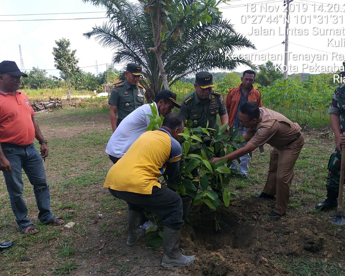 Kepala Kelompok Staf Ahli Kodam I/BB Kolonel Kav Halilintar Menanam Pohon Jambu Madu di Lokasi Baksos Penghijauan Kodim 0301/Pekanbaru