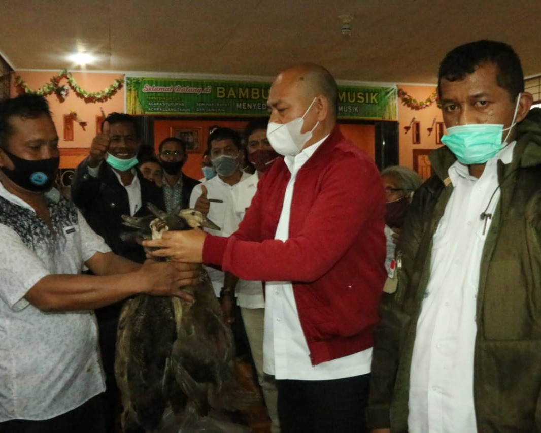 Bupati Taput Serahkan Benih Ikan, Kambing dan Itik di Desa Padang Parsadaan