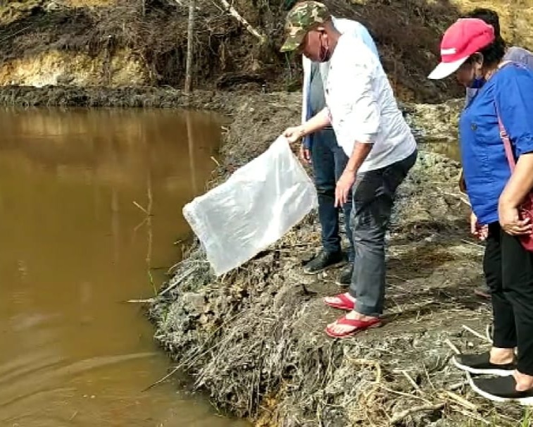 Bupati Taput Melakukan Peninjauan di Balai Benih Ikan Silangkitang Kecamatan Sipoholon dan Membantu Warga Berikan Bibit Ikan