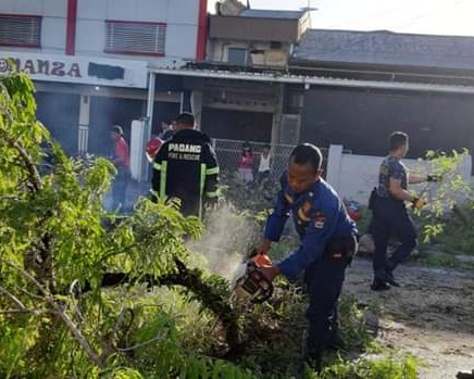 Tim TRC BPBD Padang Terjun Bersihkan Pohon Tumbang