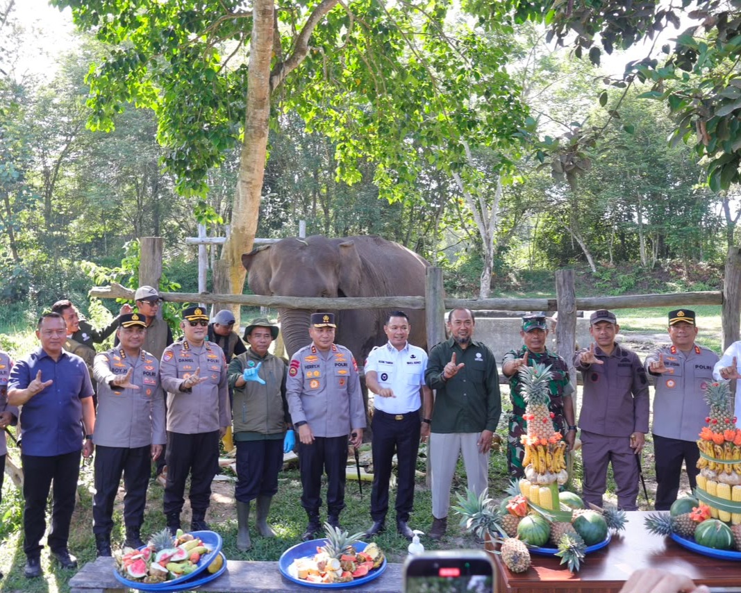 Kapolda Riau Beri Nama 'Nona Seroja' Untuk Anak Gajah Di TNTN Yang Lahir Tanpa Terdeteksi