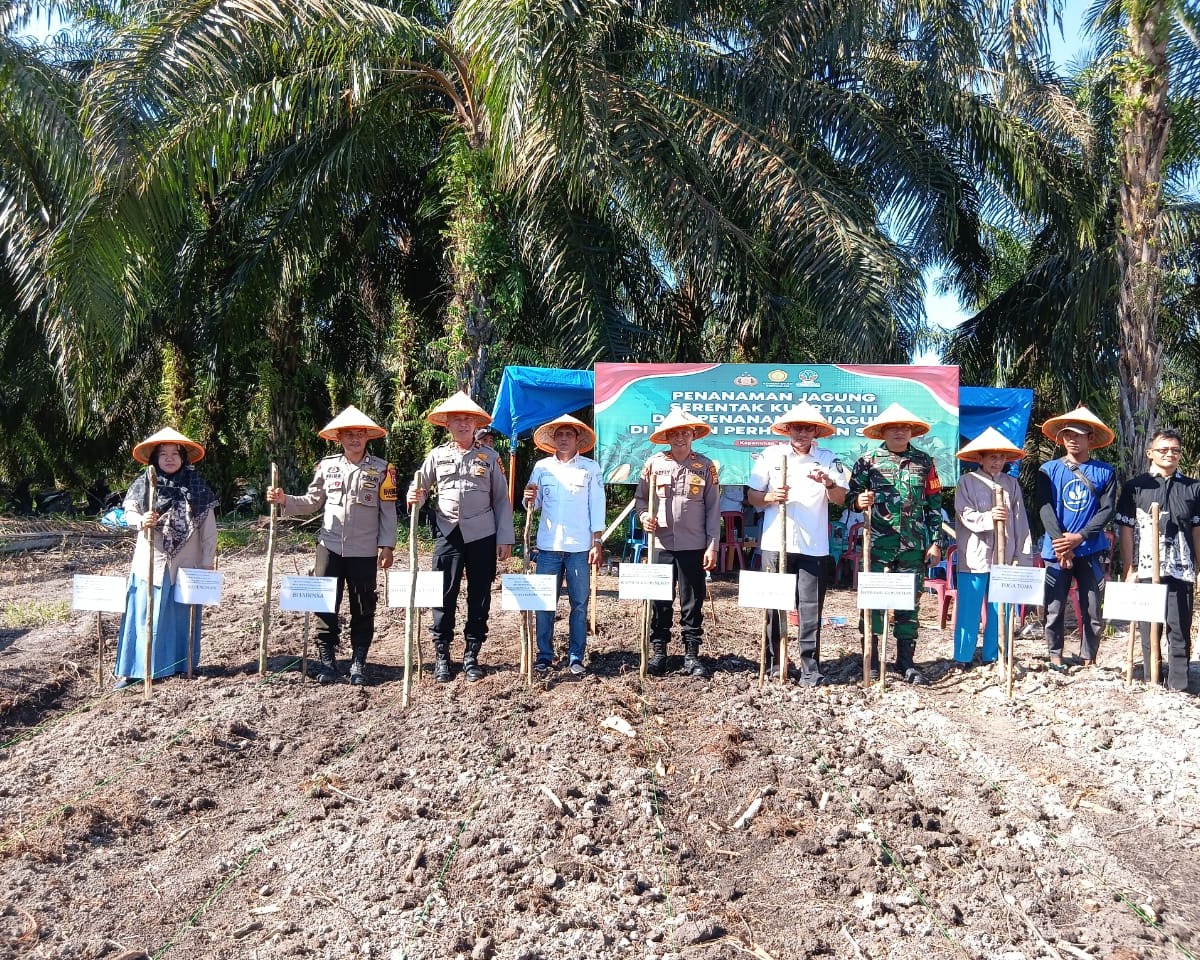 Dukung Program Ketahanan Pangan Nasional, Polres Rohul Gelar Penanaman Jagung Serentak Kuartal III