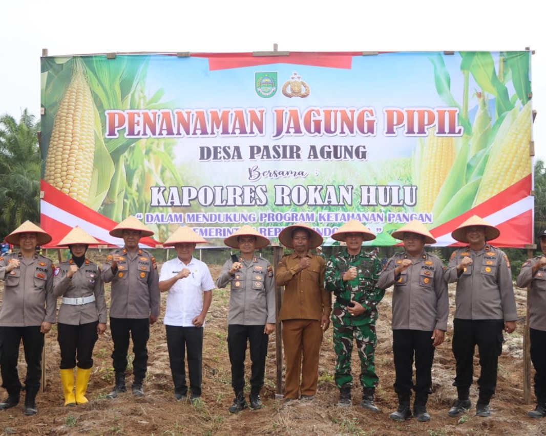 Dukung Program Swasembada Pangan Nasional, Kapolres Rohul Tanam Jagung di Desa Pasir Agung