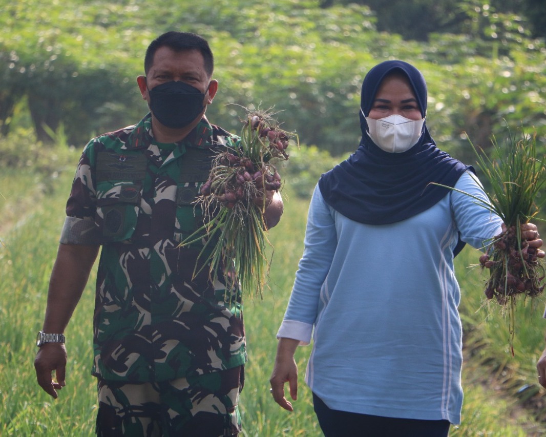 Lanud Roesmin Nurjadin Panen Jagung Dan Bawang Merah
