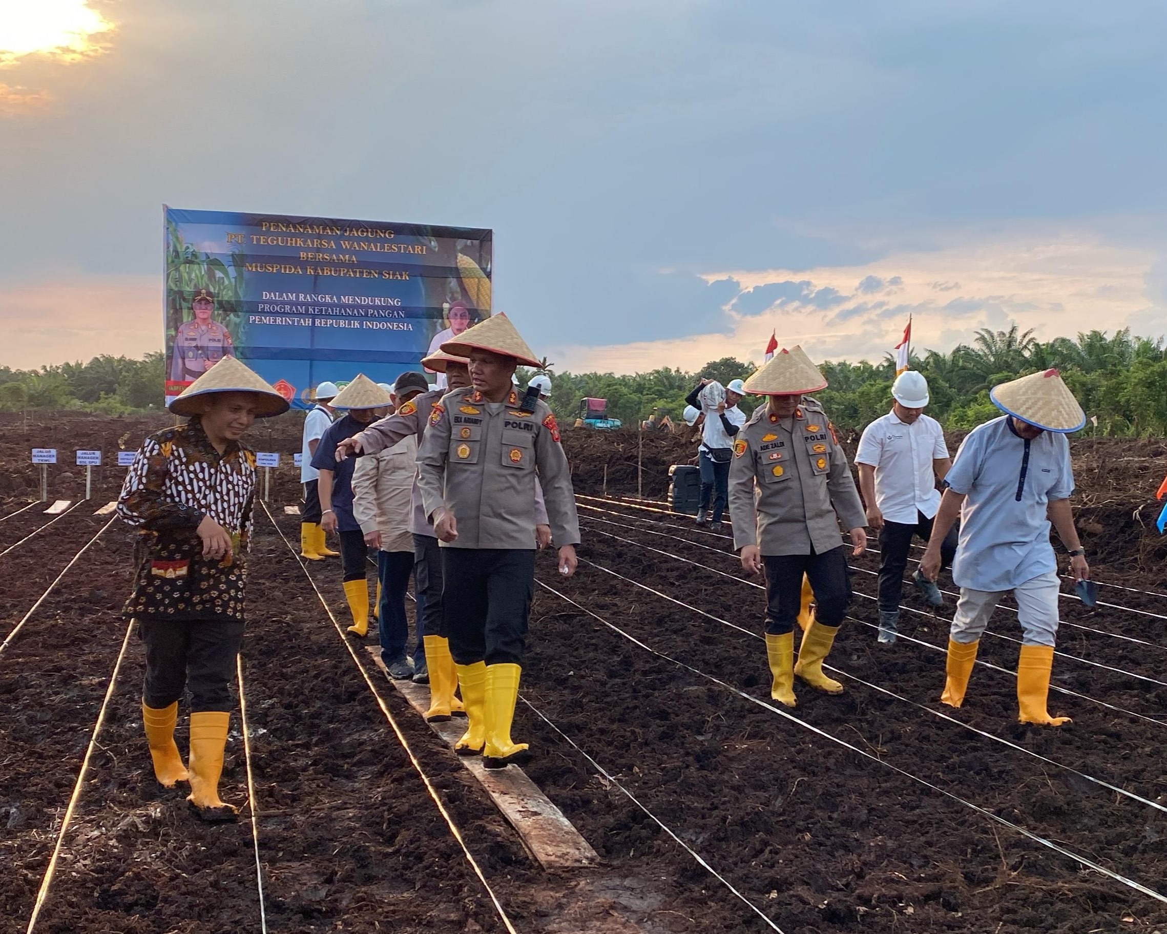 Kapolres Siak Hadiri Giat Penanaman Jagung di PT TKWL Afdeling IV Kampung Buantan Besar, Mendukung Program KPN