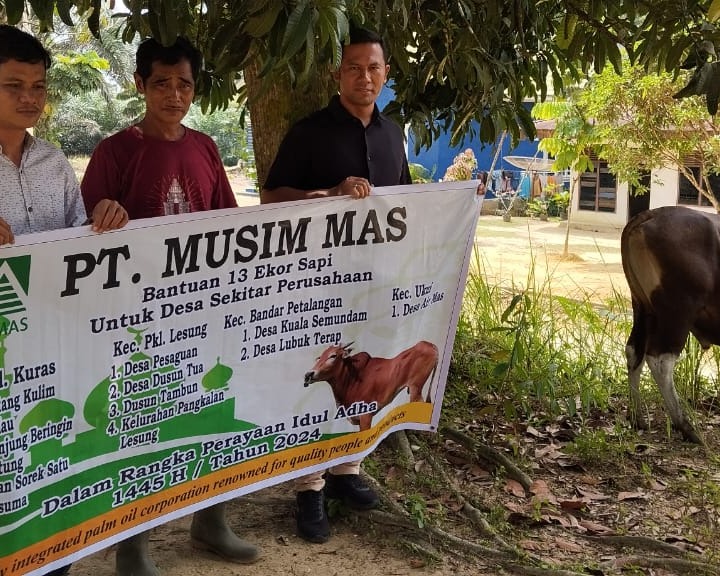 Berbagi Kebahagiaan di Momen Hari Raya Idhul Adha, PT Musim Mas Salurkan 13 Ekor Hewan Qurban