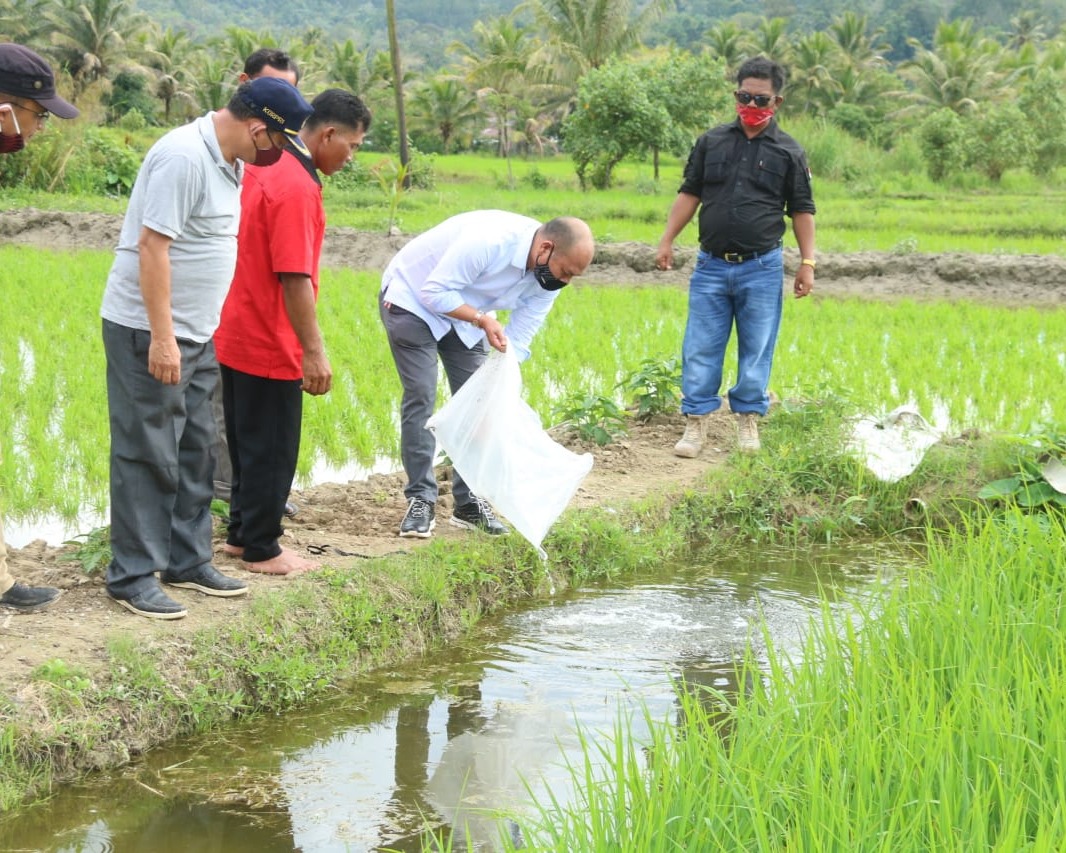 Bupati Taput Tinjau Pembukaan Jalan Usaha Tani dan Tatap Muka Dengan Masyarakat Desa Pardamean Kecamatan Pahae Jae