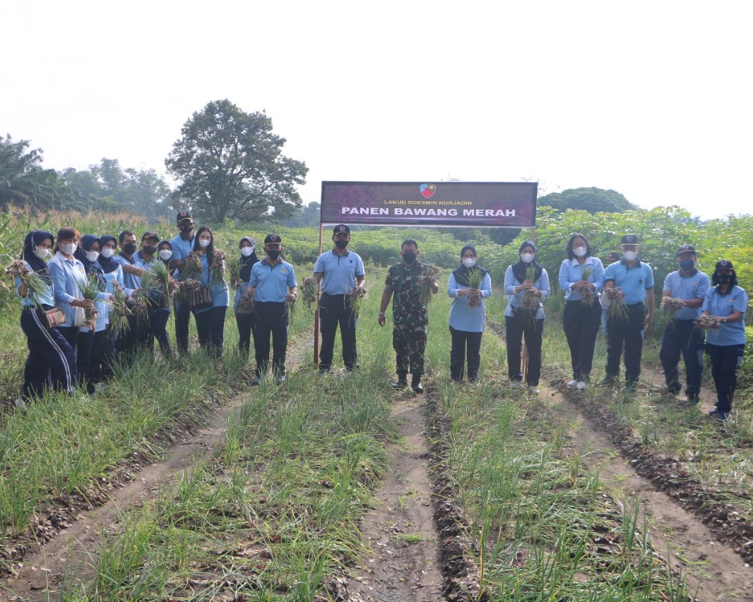 Lanud Roesmin Nurjadin Panen Jagung Dan Bawang Merah