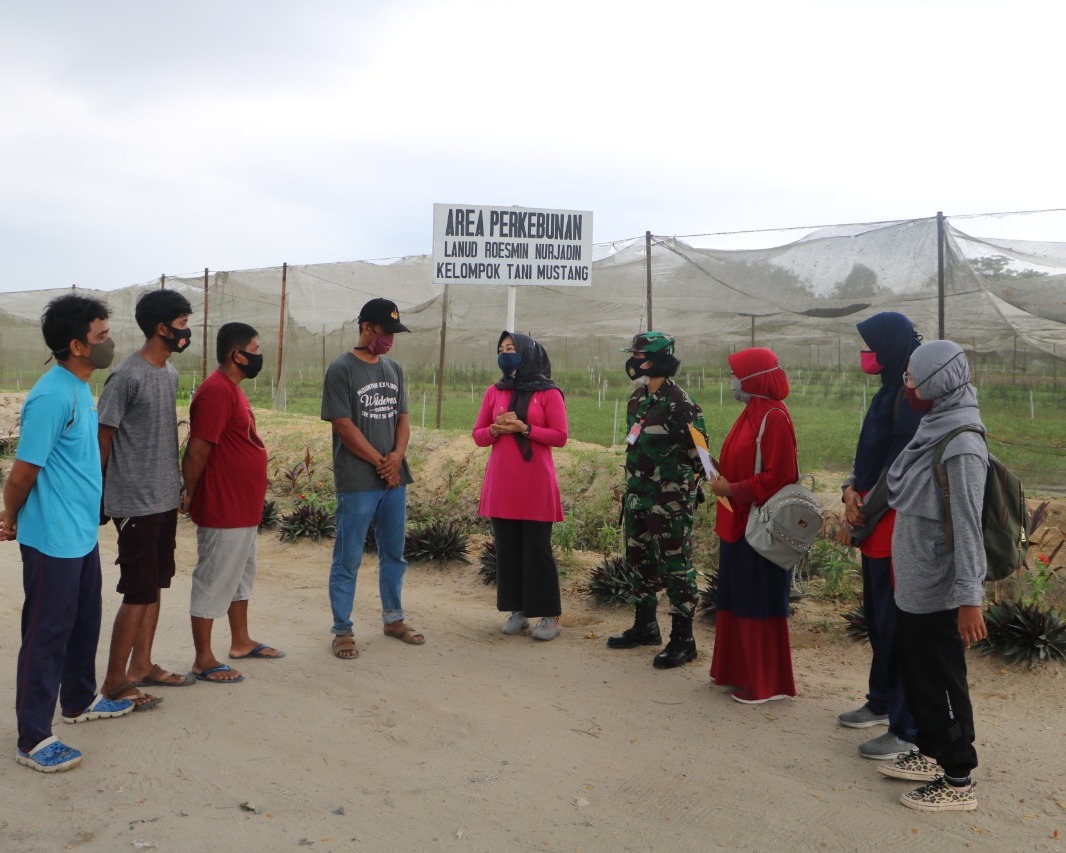 Danlanud RSN Apresiasi Disketapang Pemko Pekanbaru Survey Petani Mustang