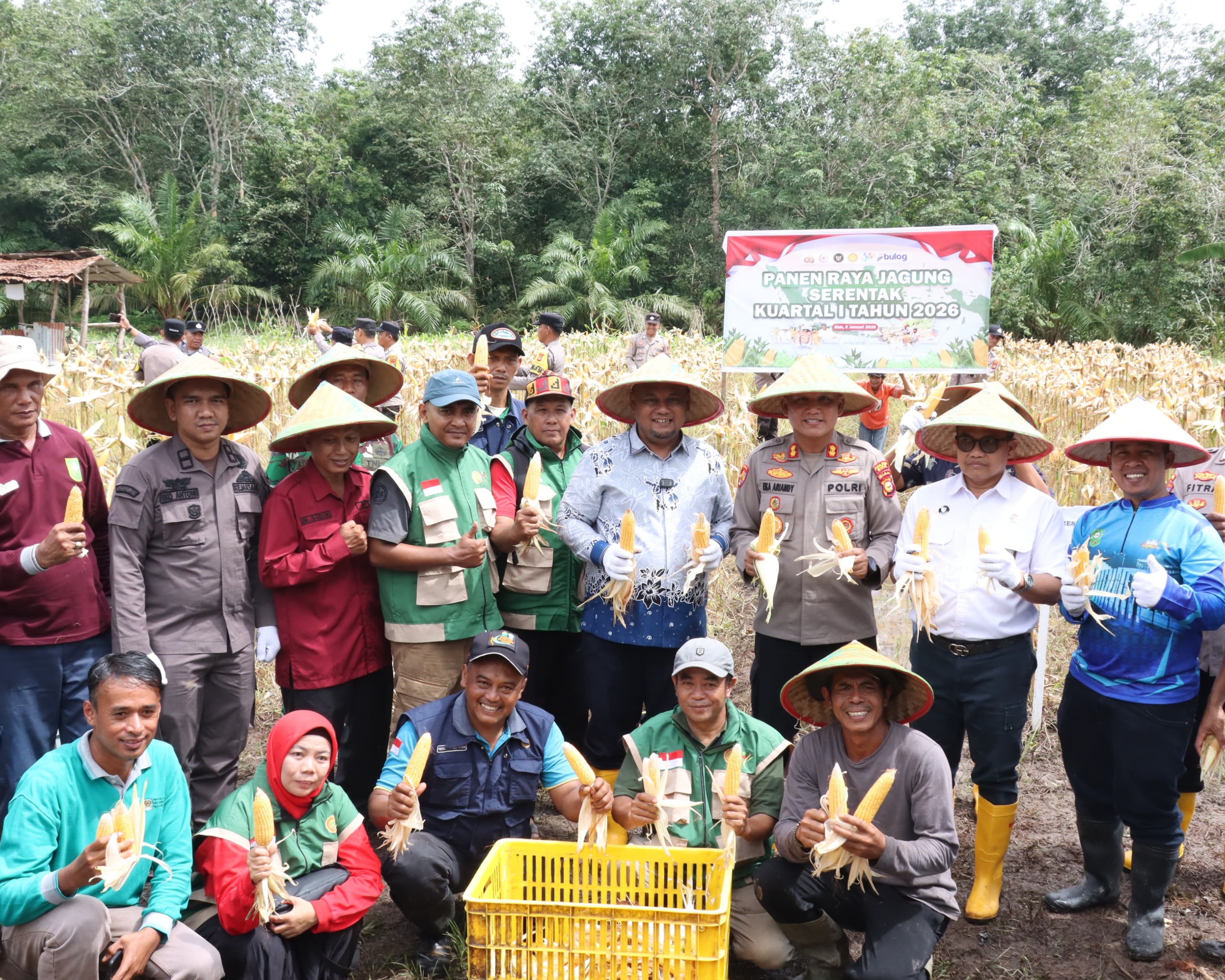Polres Siak Dukung Swasembada Pangan, Panen Raya Jagung Serentak Kuartal I Tahun 2026 Digelar Bersama Kapolri