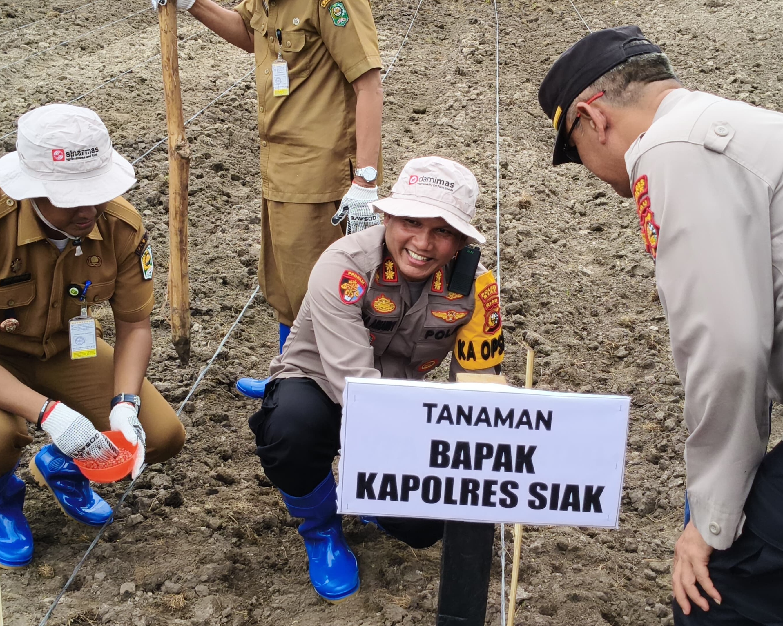 Kolaborasi Bersama PT Ivo Mas Tunggal dan Masyarakat, Polres Siak Tanami Ribuan Bibit Jagung Pipil Diatas Lahan Seluas 6,5 Hektar