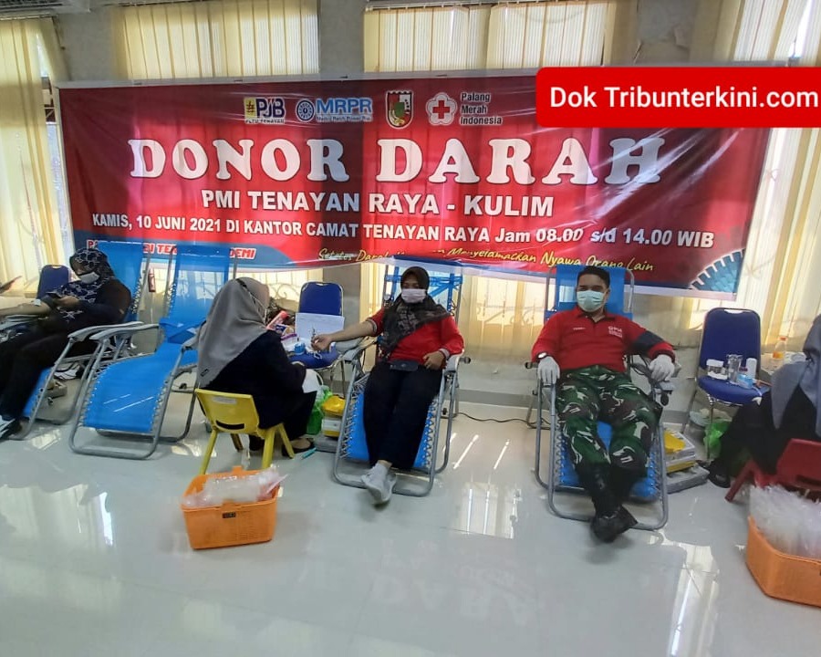 PMI Tenayan Raya dan Kulim Gelar Donor Darah, 'Setetes Darah Kita, Menyelamatkan Nyawa Orang Lain'