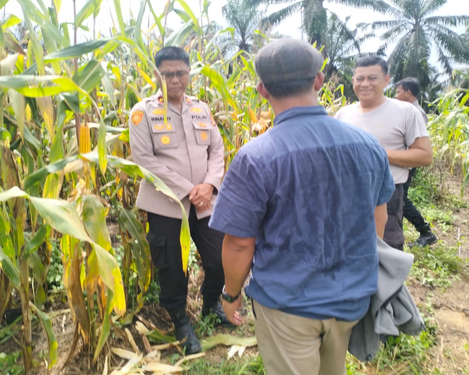 Polsek Pkl Kuras Kawal Lumbung Pangan KUD Sialang Makmur Perkuat Ketahanan Pangan