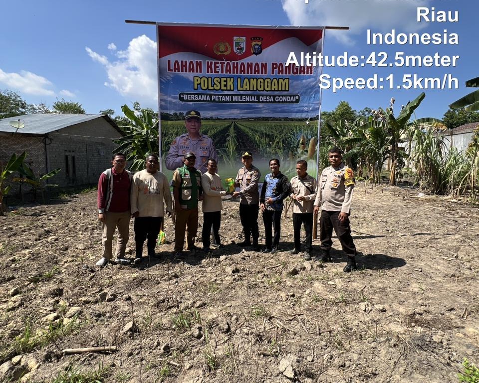 Polsek Langgam Tanam Jagung 0,5 Hektar Di Pangkalan Gondai, Dukung Ketahanan Pangan Nasional