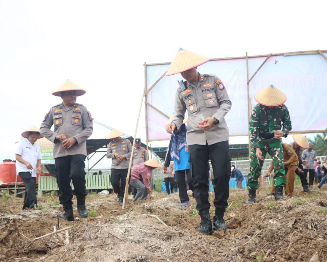 Dukung Program Swasembada Pangan Nasional, Kapolres Rohul Tanam Jagung di Desa Pasir Agung