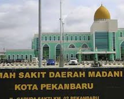 Jelang Grand Opening RS Madani Pekanbaru, Plt Kadiskes: Kita Akan Terus Sempurnakan