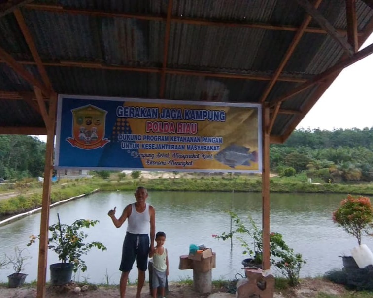 Terinspirasi Program Jaga Kampung Polda Riau, Ipda Alreflus Dari Polres Kampar Kembangkan Ternak Ikan