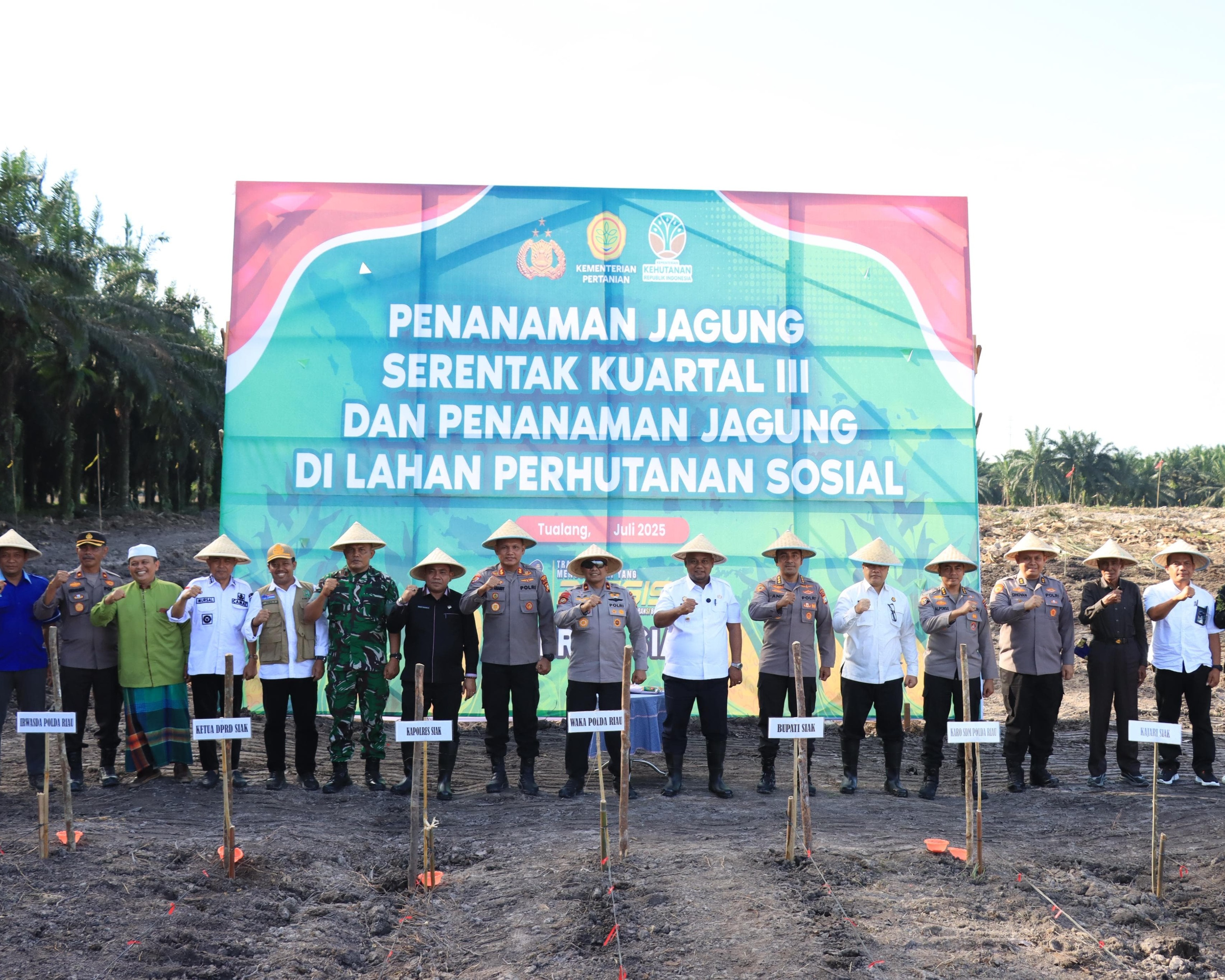 Wakapolda Riau Tanam Jagung Serentak di Lahan Perhutanan Sosial Kecamatan Tualang, Wujudkan Ketahanan Pangan dan Pemberian Bibit Tanaman Buah