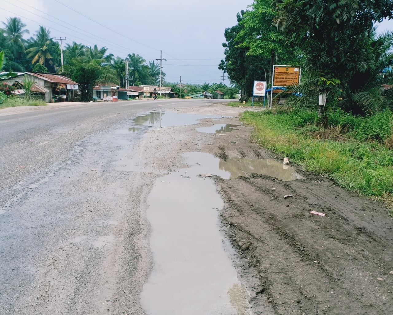 Warga Dusun Mutiara Rohil Berharap Jalan Rusak Didepan PT Adhikarya Diperbaiki