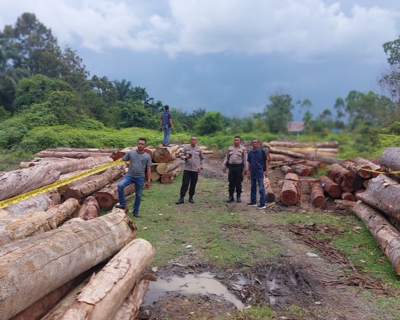 Polres Kampar Komitmen Berantas Ilegal Logging, Amankan 215 Tual Kayu Tak Bertuan Serta Mobil Truk Yang Bermuatan Kayu illog
