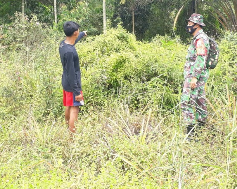 Masuki Musim Kemarau, Babinsa Kodim 0301/PBR Bersama MPA Laksanakan Patroli dan Himbauan Daerah Rawan Karhutla di Kelurahan Tebing Tinggi Okura