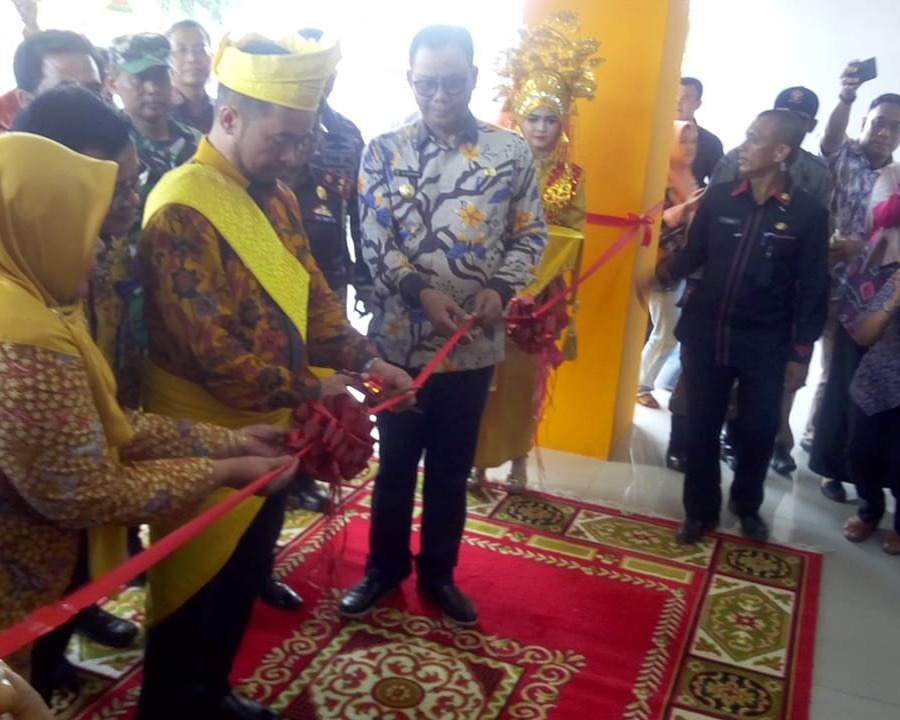 Bupati Rohil Resmikan Dua Puskesmas Bersama Direktur Fasyankes Kemenkes RI 