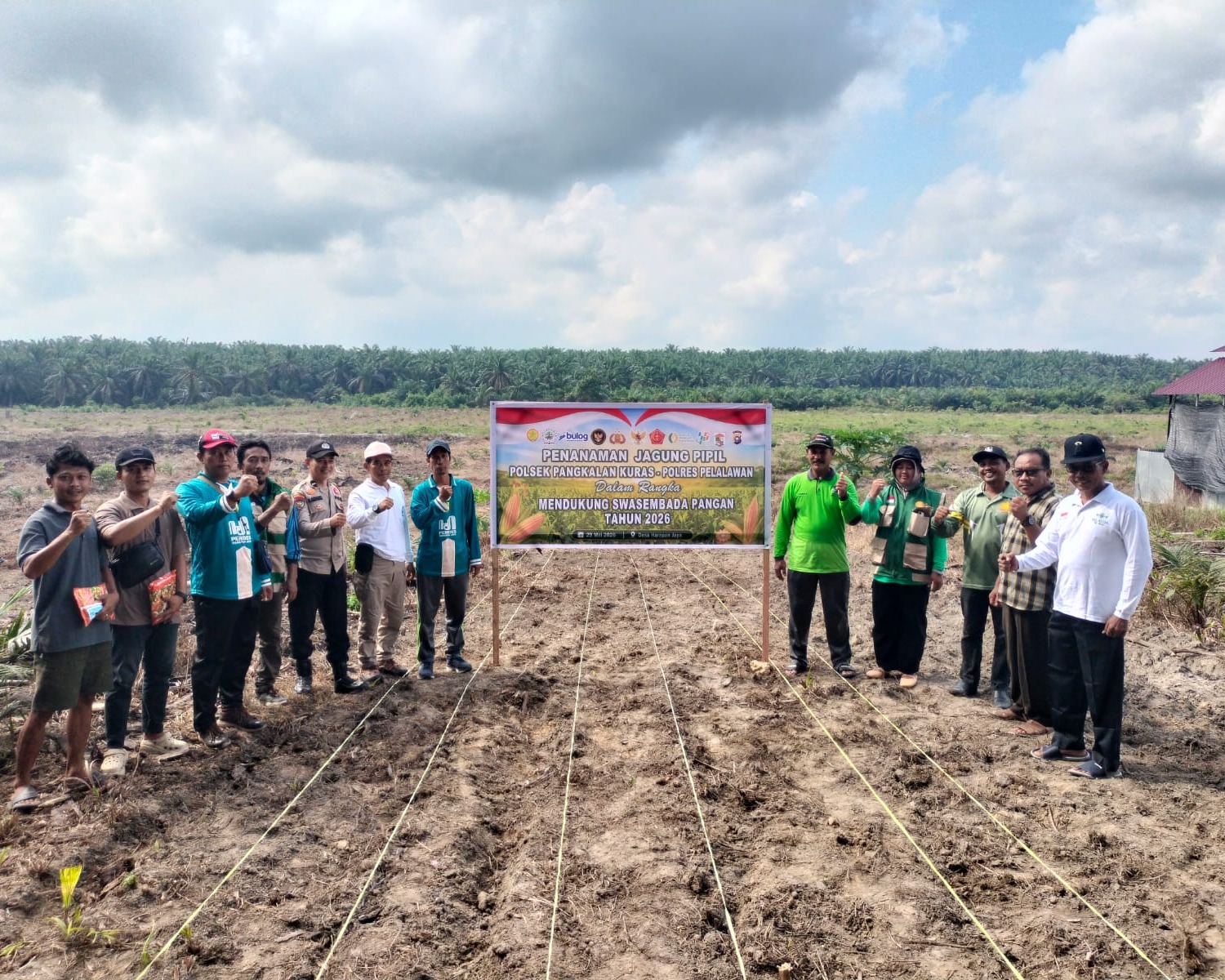 Polsek Pangkalan Kuras Dampingi KUD Sawit Harapan Jaya Tanam Jagung 3 Hektar Program Ketahanan Pangan