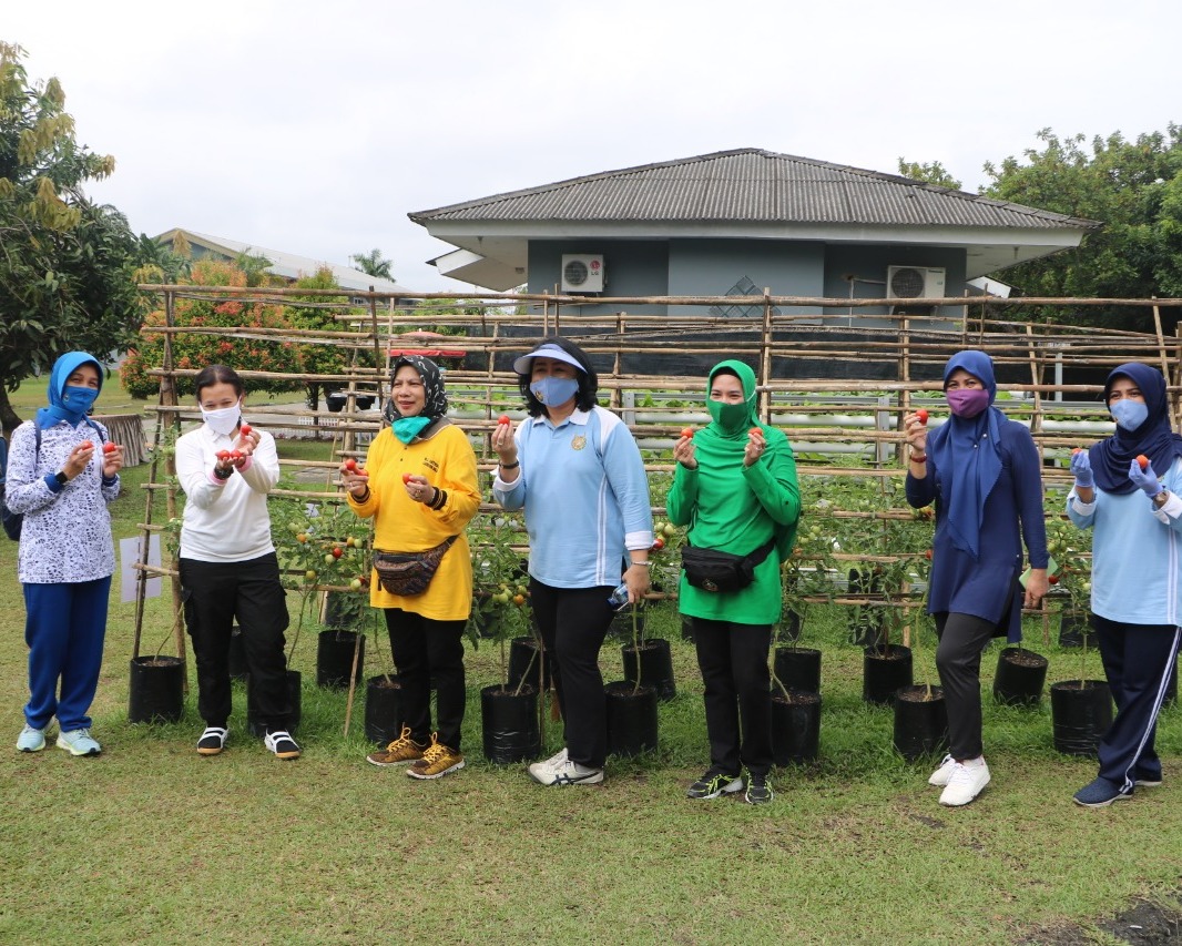 Penasehat DWP Provinsi Riau Kunjungi Kebun PIA Ardhya Garini Cab.12/D.I Lanud Roesmin Nurjadin