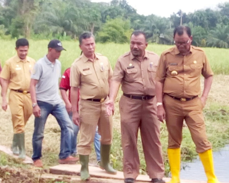 Bupati Rohil Suyatno, Canangkan Objek Taman Hutan Kota Bagansiapiapi