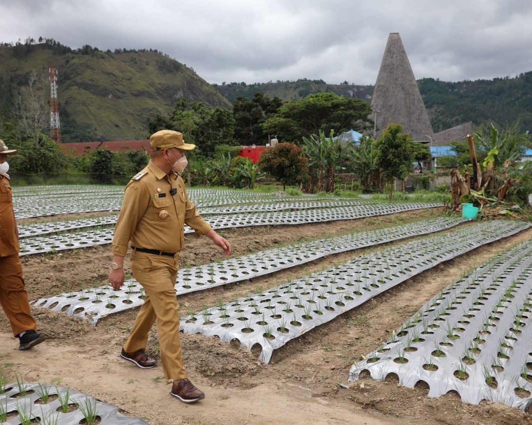 Bupati Nikson Nababan Bangga Inalum Hadir Ditengah - tengah Masyarakat Taput Khususnya Kecamatan Muara