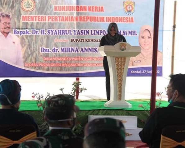 Menteri Pertanian RI Kunjungan Bersama Bupati Kendal Di Desa Pucangrejo 