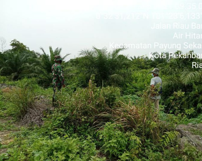 Antisipasi Karlahut, Babinsa Kodim 0301/PBR Rutin Laksanakan Patroli Dan Sosialisasi Karlahut