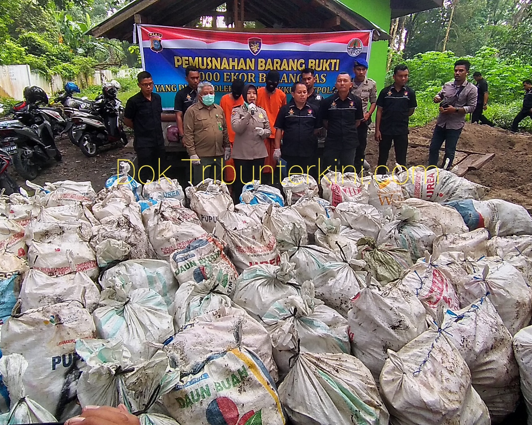 Dua Pelaku Penyelundupan 6.000 Ekor Satwa Belangkas, Berhasil Di Gagalkan Tim Ditpolairud Polda Riau