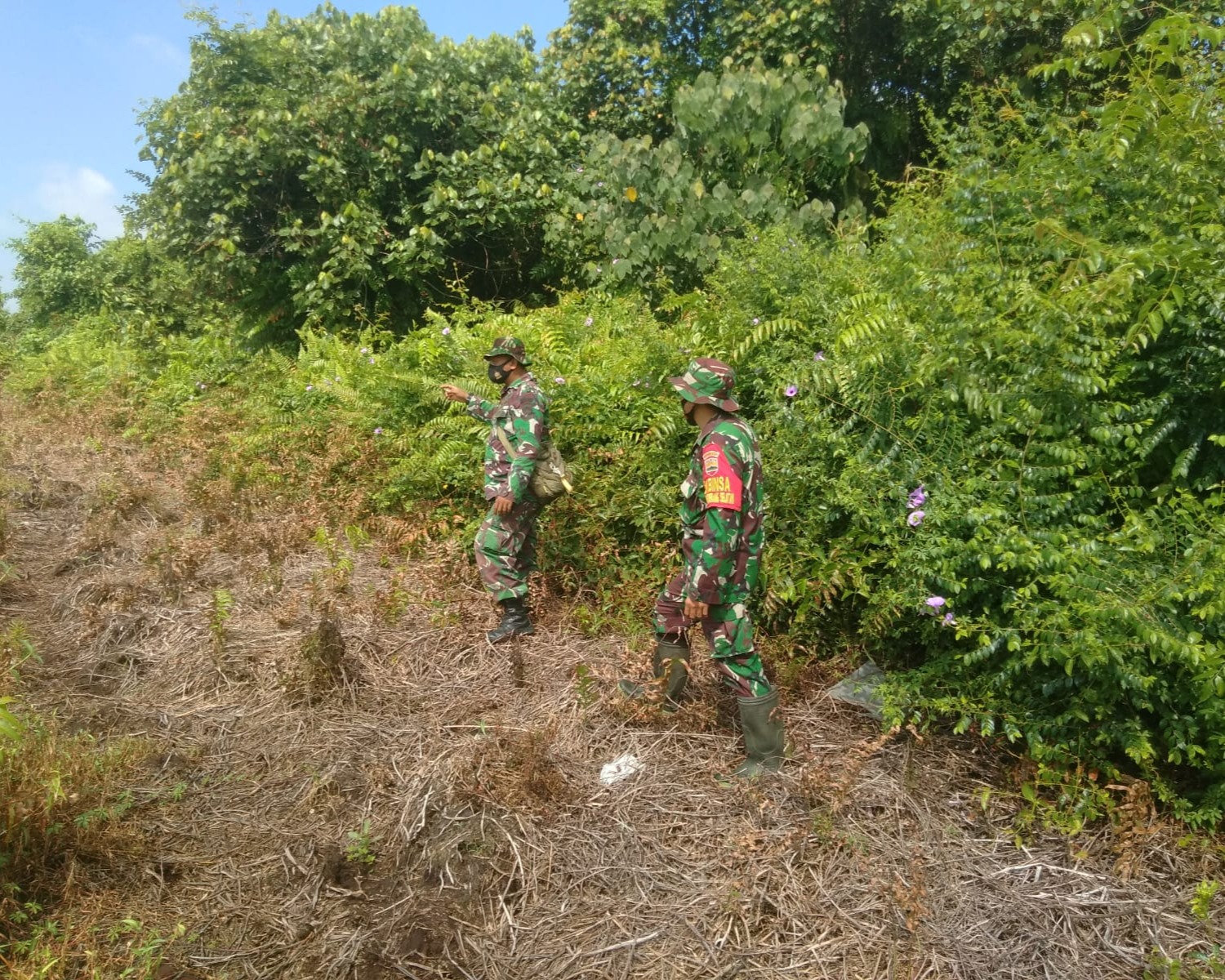 Cegah Karlahut, Babinsa Kodim 0301/PBR Laksanakan Patroli dan Sosialisasi Karlahut