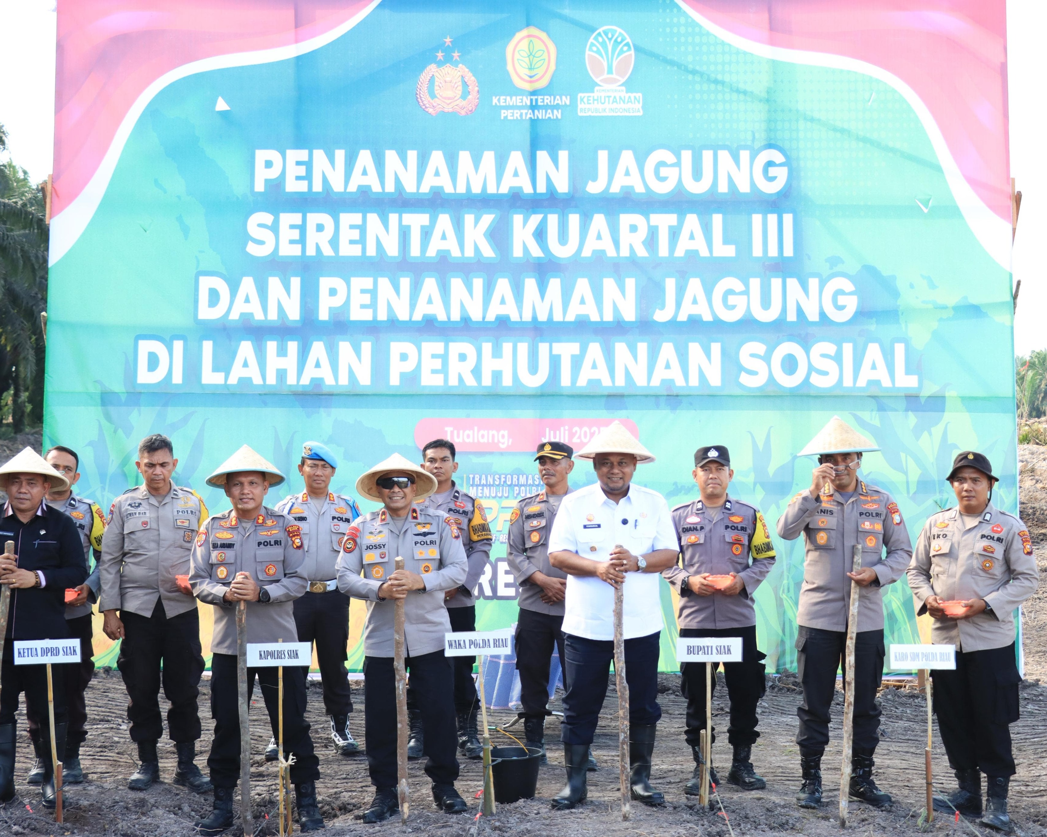 Wakapolda Riau Tanam Jagung Serentak di Lahan Perhutanan Sosial Kecamatan Tualang, Wujudkan Ketahanan Pangan dan Pemberian Bibit Tanaman Buah