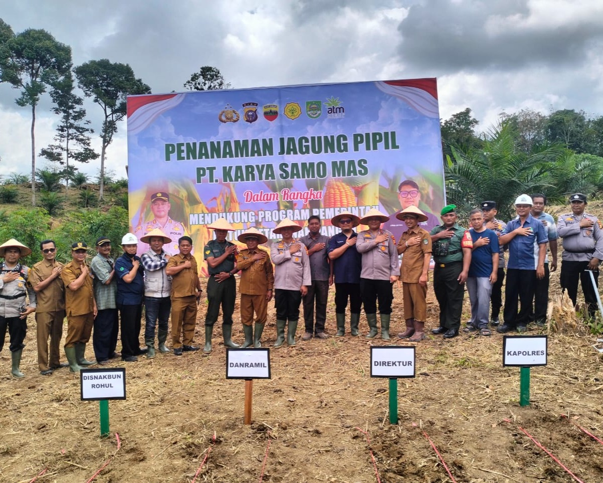 Dukung Ketahanan Pangan, PT KSM Gelar Penanaman Jagung Pipil di Desa Teluk Aur Kabupaten Rohul