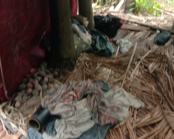 Mayat Membusuk di Temukan di Kebun Pinang