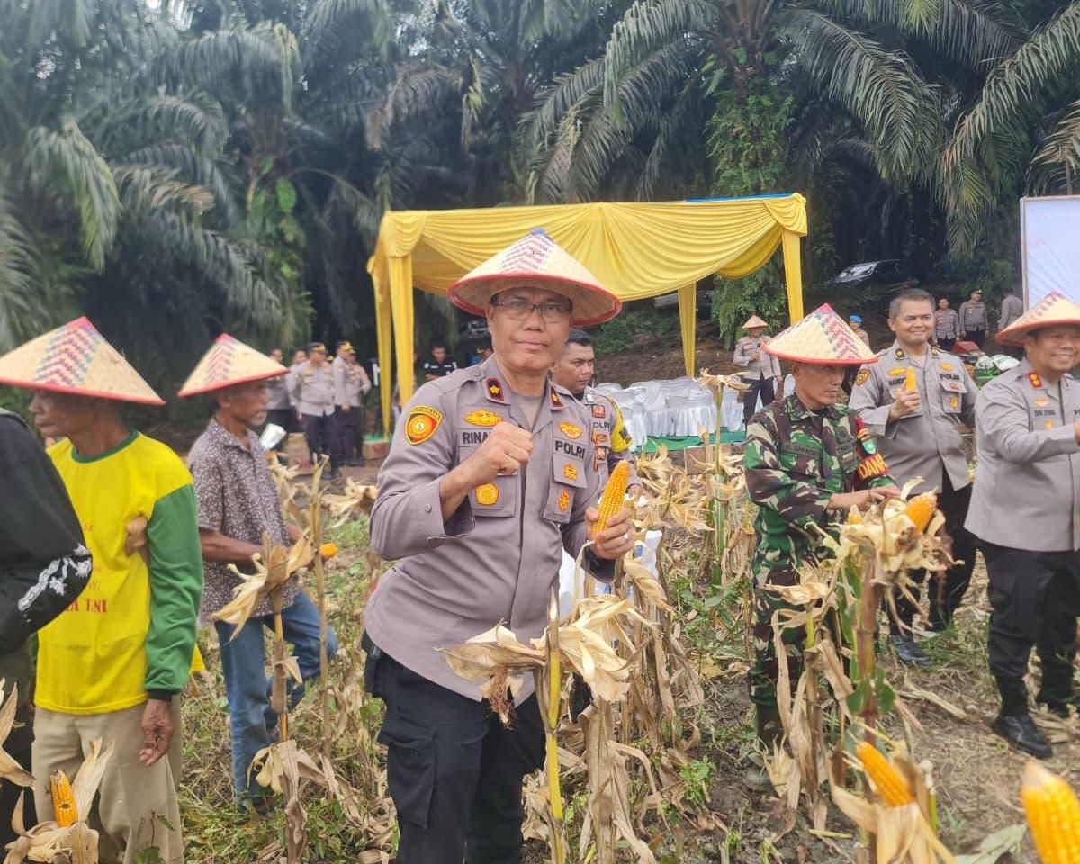Panen Raya Jagung Serentak Kuartal II Tahun 2026 Mendukung Ketahanan Pangan