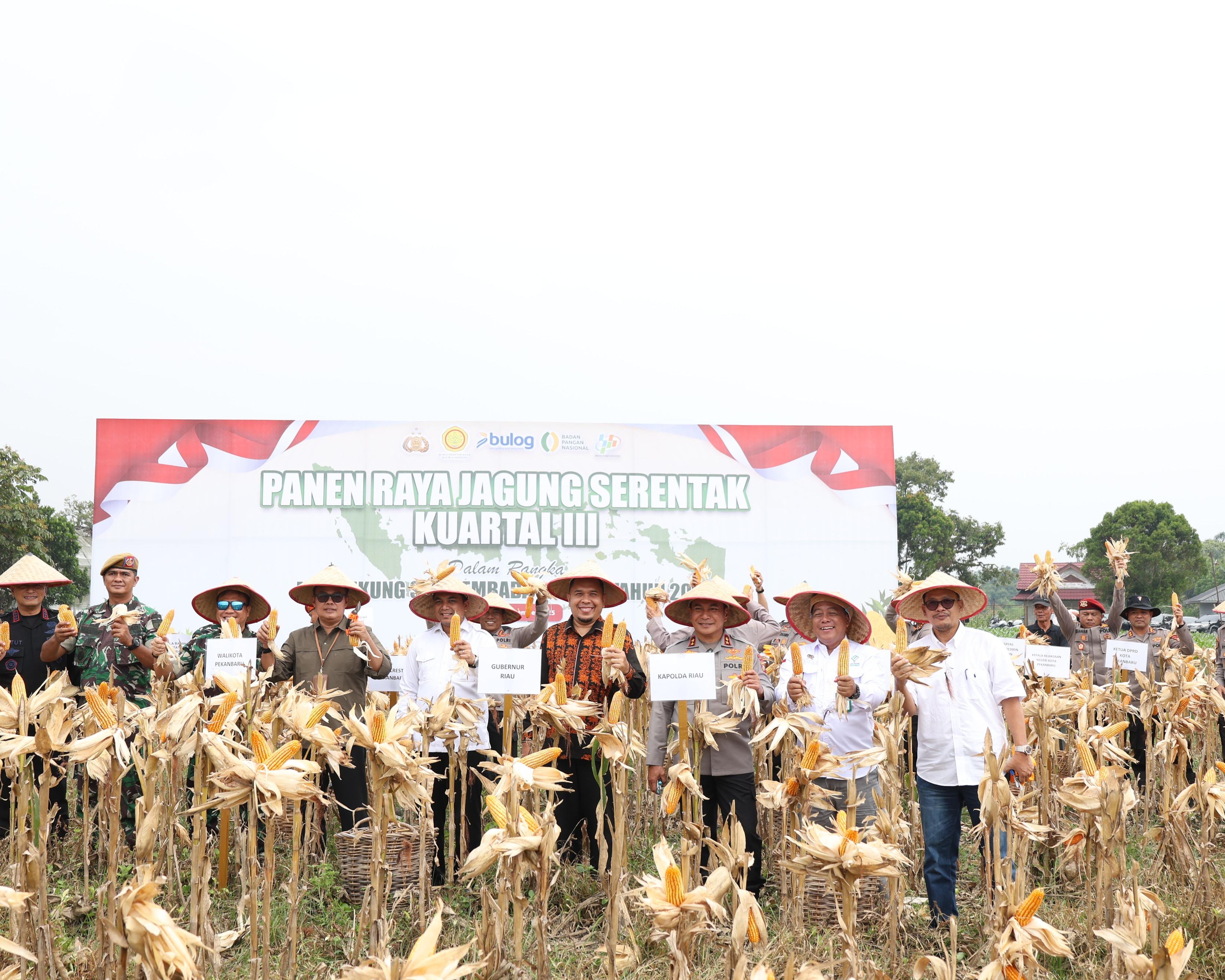 Polda Riau Gelar Panen Raya Serentak Kuartal III 2025, Wujud Nyata Sinergi Untuk Ketahanan Pangan