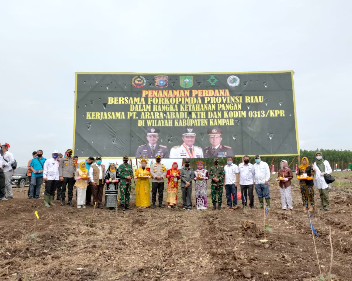 Gubri Bersama Kapolda dan Danrem 031/WB, Lakukan Tanam Perdana Bibit Jagung Untuk Ketahanan Pangan Di Desa Bencah Kelubi