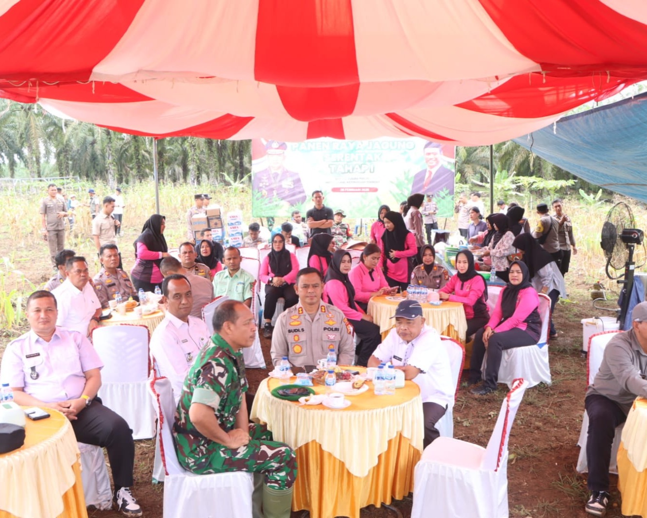 Panen Raya Jagung Serentak di Desa Pasir Agung Kabupaten Rohul, Wujud Nyata Swasembada Pangan