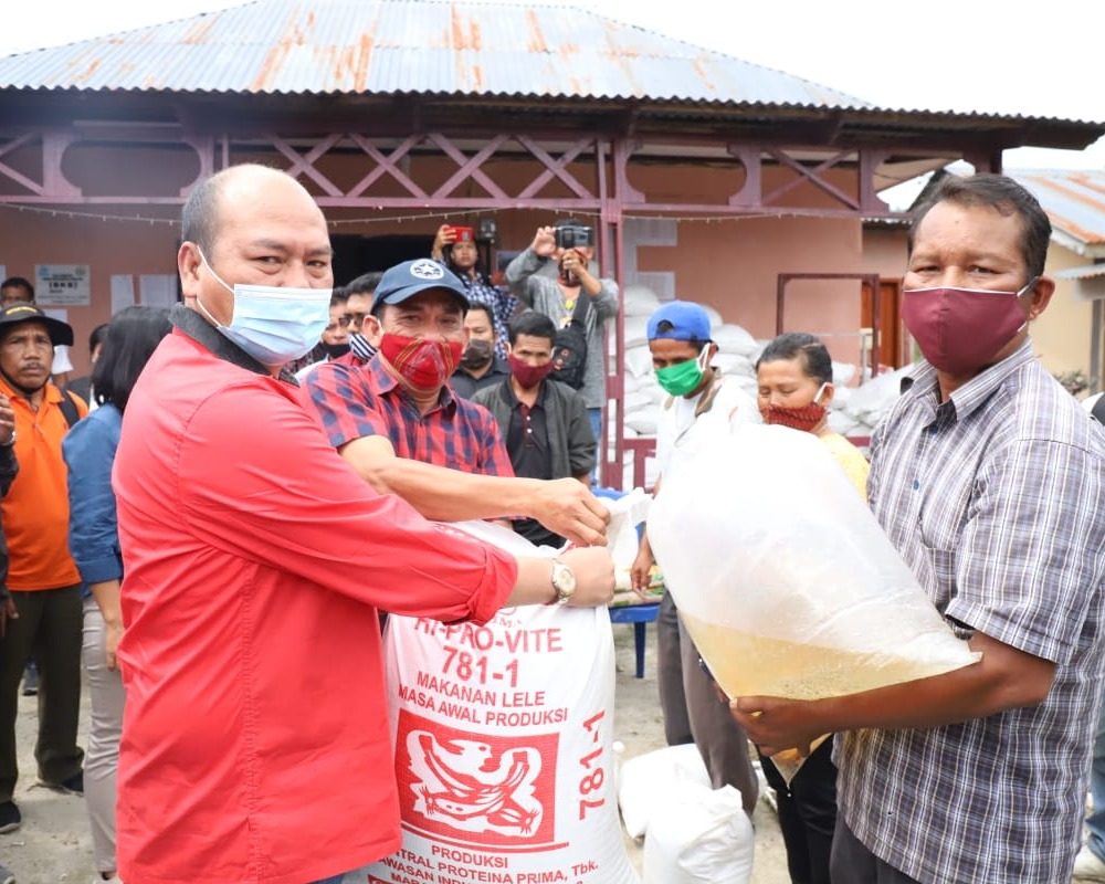 Perkuat Ketahanan Pangan, Bupati Taput Kembali Bagikan Bibit Padi dan Jagung Serta Benih ikan