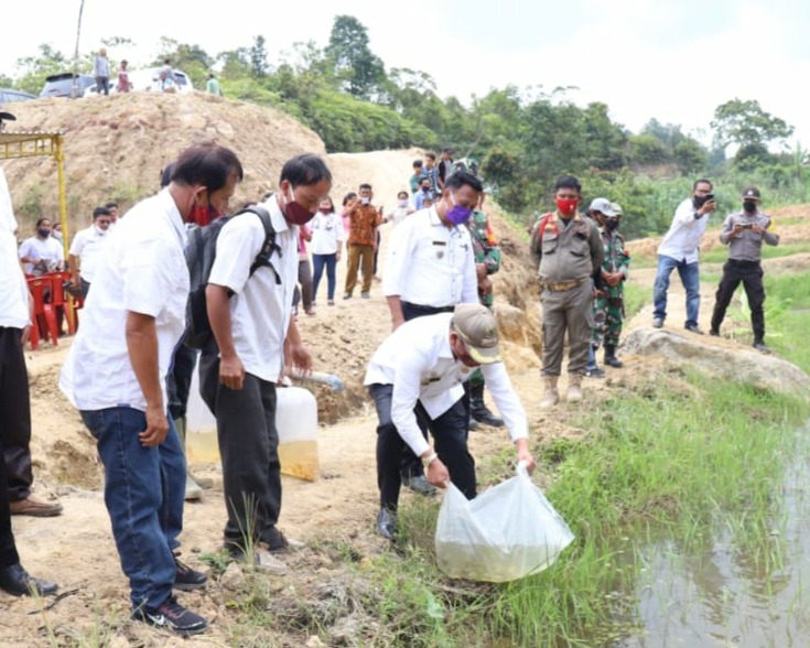 Bupati Taput Kembali Menabur 3.000 Ekor Benih Ikan di Kolam Masyarakat Desa Dolok Nauli