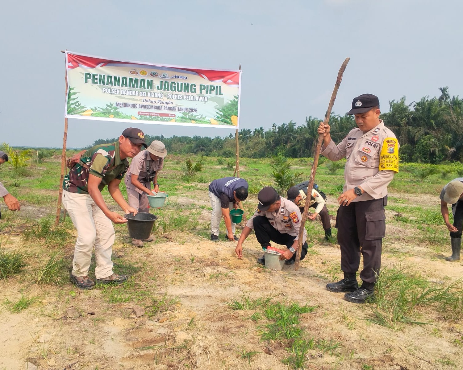 Polsek Bandar Sei Kijang Dukung Ketahanan Pangan, Tanam Jagung Pipil Tahap II di Lahan PT. CDS Seluas 1 Hektar
