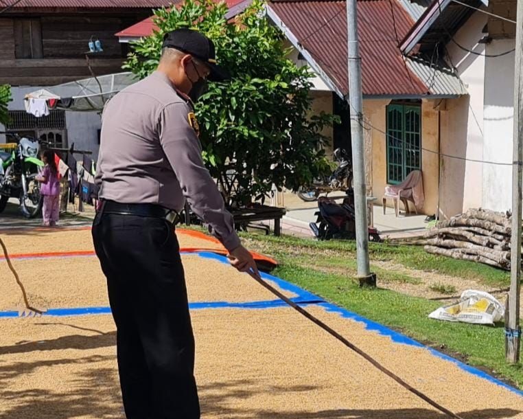 Kapolsek Sengingi Rela Jaga Gabah Dibawah Terik Matahari, Agar Warganya Bisa Vaksin