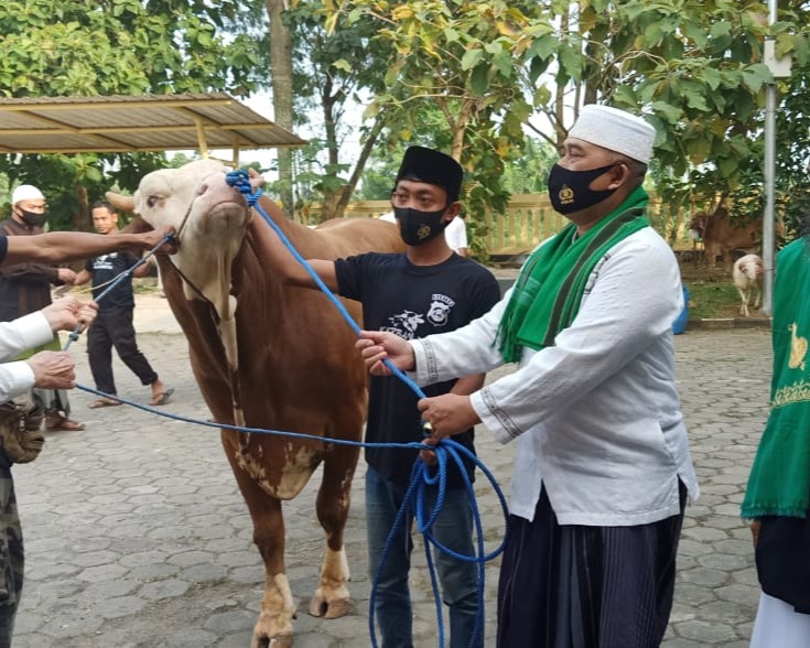 Polda Banten Qurban Puluhan Ekor Sapi Dengan Protokol Kesehatan Dan Bagikan Untuk Masyarakat