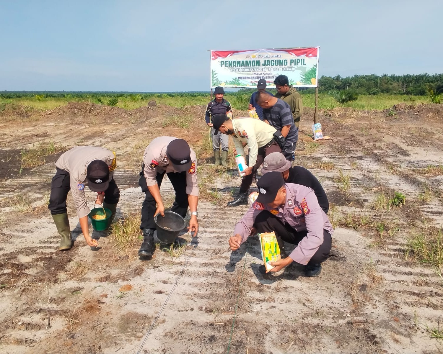 Polsek Bandar Sei Kijang Tanam Jagung Pipil 1,5 Ha di Lahan PT CDSL Dukung Ketahanan Pangan Nasional